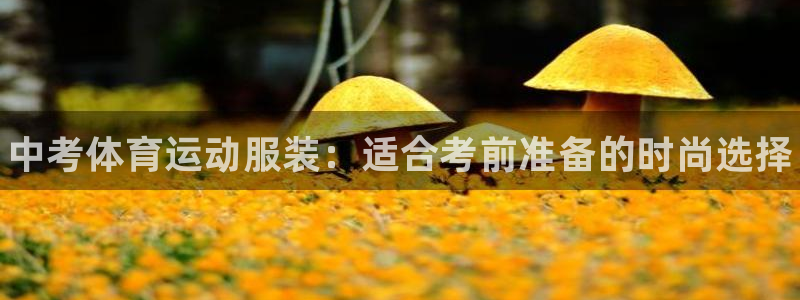 betway西汉姆联官网