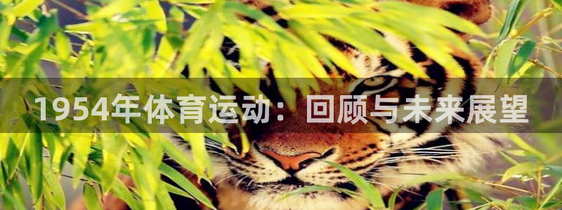 betway西汉姆联官网