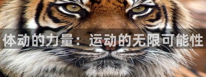 betway西汉姆联官网