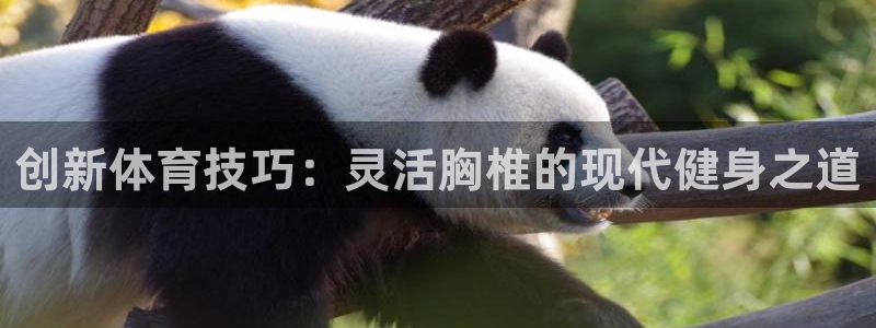 betway西汉姆联官网