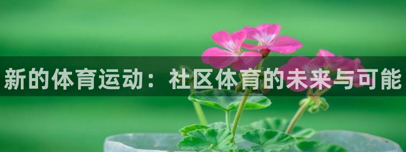 betway西汉姆