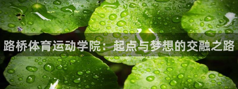 betway西汉姆