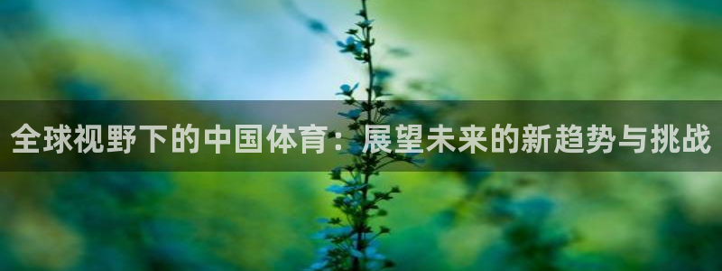betway西汉姆联
